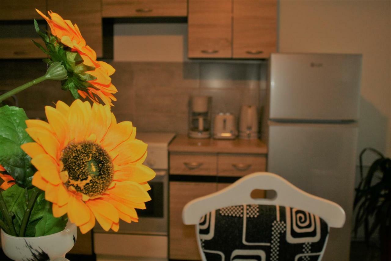 Casa Peterfi - Apartment With 3 Bedrooms And Spacious Living Room เตอร์กู-มูเรช ภายนอก รูปภาพ